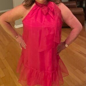Anthropologie Hot Pink Dress